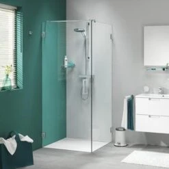 Sealskin Swingdeur Voor Douchewand I AM 200x100 Cm RVS